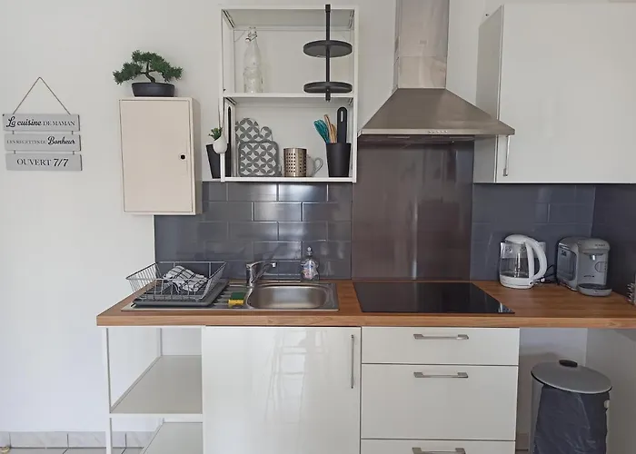 Faubourg De La Cueille - Aux Portes Du Futuroscope Apartment *